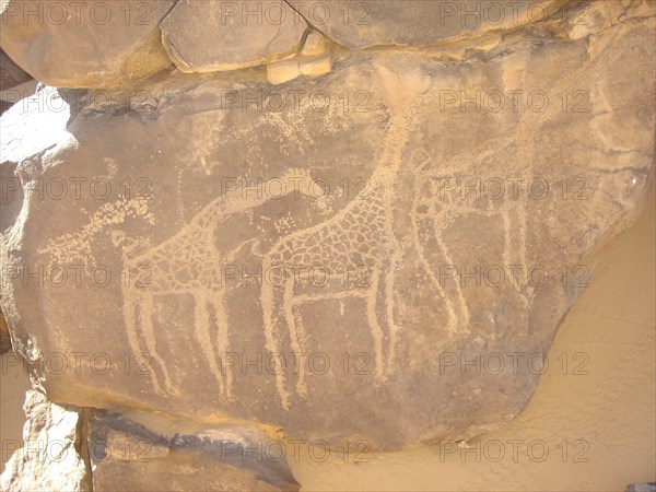 Art rupestre - Niger - Girafes