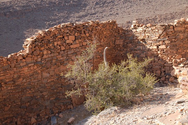 Greniers fortifiés du sud marocain, ou agadirs.