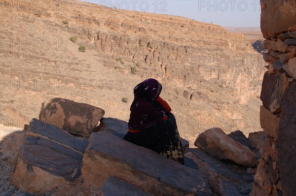 Greniers fortifiés du sud marocain, ou agadirs.