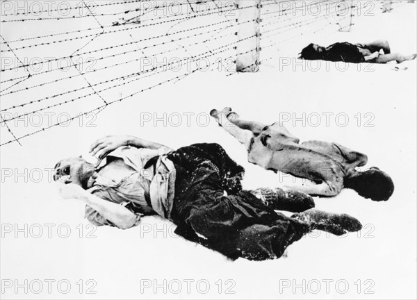 Camp de concentration d'Auschwitz-Birkenau, 1945