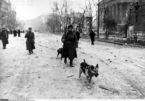 Libération de la Hongrie par l'Armée Rouge, 1945