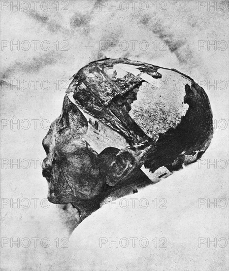 Tut ench Amun
König, Agypten 1330 - 1322 v