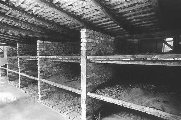 Couchettes à Auschwitz