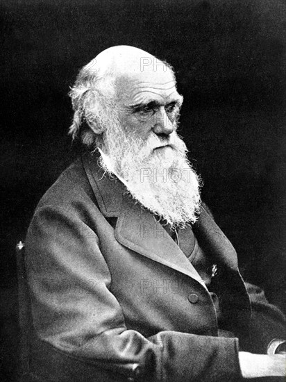 Portrait de Charles Darwin