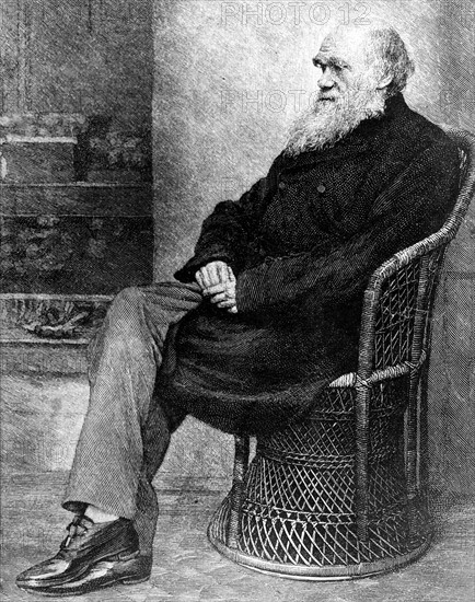 Portrait de Charles Darwin