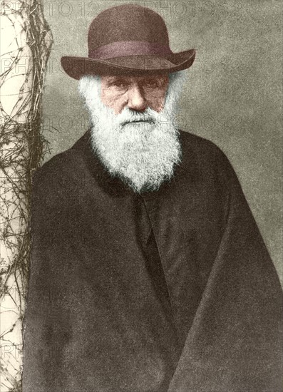 Portrait de Charles Darwin
