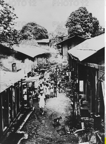 Albert Schweitzer dans son hôpital de Lambaréné