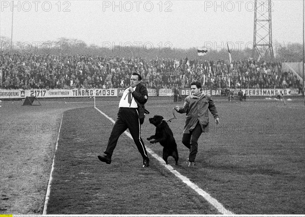 Platzordner mit einem Wachhund verjagt einen Fussballfan vom Spielfeld des Niederrheinstadions Oberhausen vor dem Spiel Rot-Weiss Oberhausen gegen Borussia Moenchengladbach, Bundesliga, Saison 1969/1970