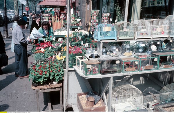 Boutiques sur le quai de Mégisserie à Paris