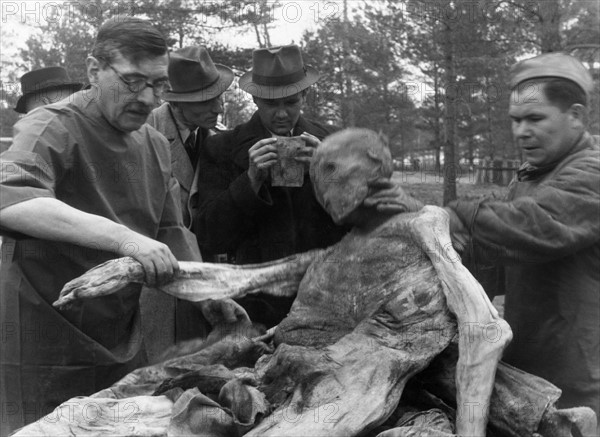 Massacres de Katyn
