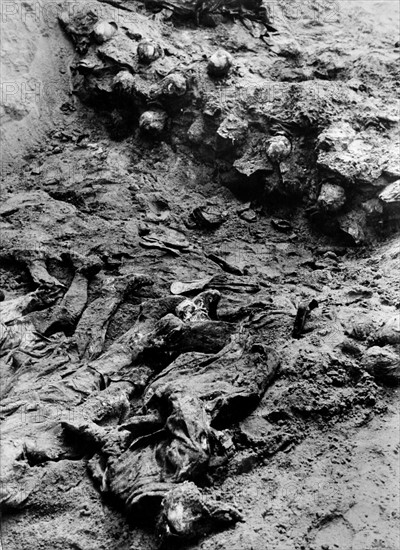 Massacres de Katyn