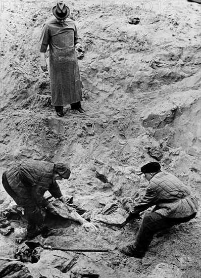 Massacres de Katyn