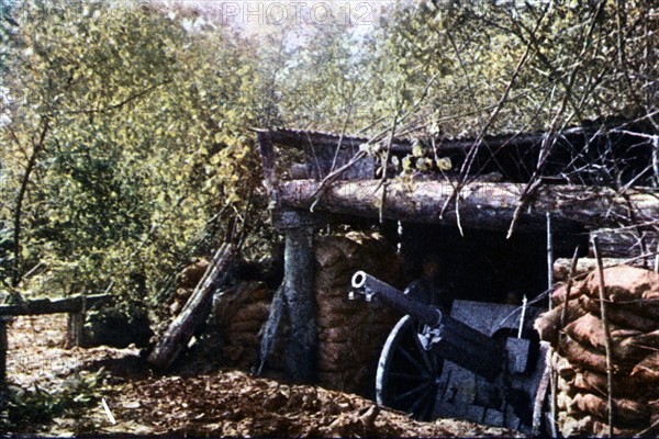 Première Guerre Mondiale. Septembre 1916.
Un canon de 75 français camouflé sous les arbres, pendant la bataille de Verdun.
D'après un autochrome de Jules Gervais-Courtellemont (1863 - 1931)