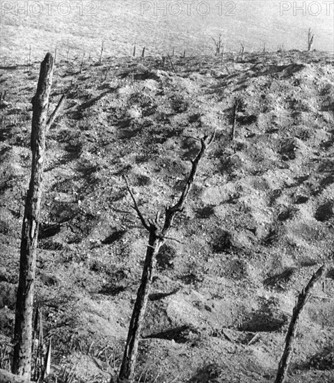 Champ de bataille de Verdun