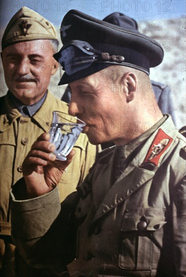 Rommel, Erwin 1871-1944
Offifer (general field marshall), Germany 
Commander of the german Africa - Corps
together with italian general Scotti at El Alamein
July/August 1942 - 01/08/1942