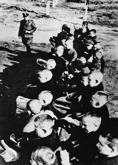 Camp de concentration d'Auschwitz, 1943