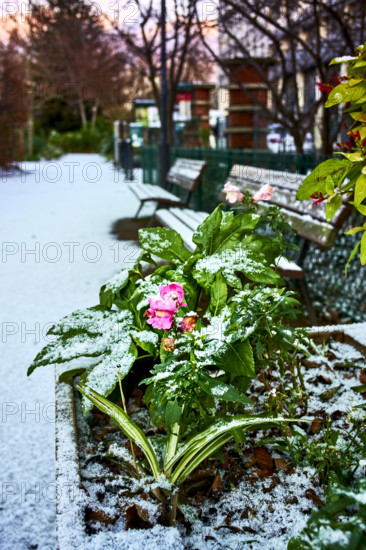 Illustrations Paris neige et soleil exposition