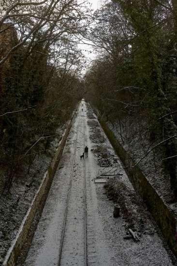 Illustrations Paris neige et soleil exposition