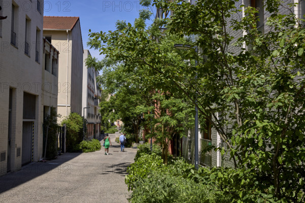 Végétalisation à Saint-Denis