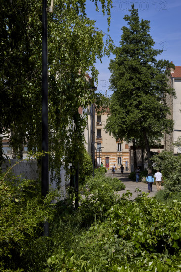 Végétalisation à Saint-Denis