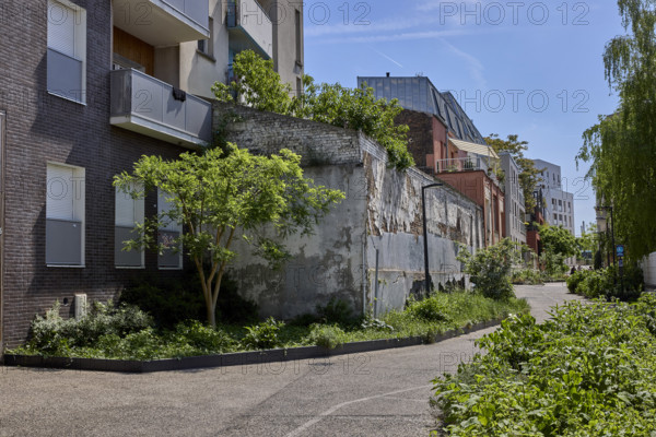 Végétalisation à Saint-Denis