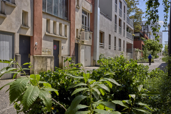 Végétalisation à Saint-Denis