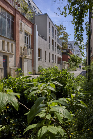 Végétalisation à Saint-Denis