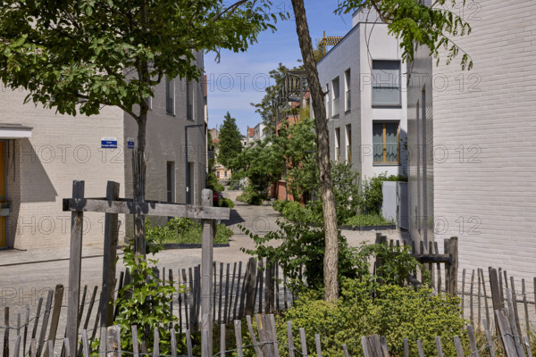 Végétalisation à Saint-Denis