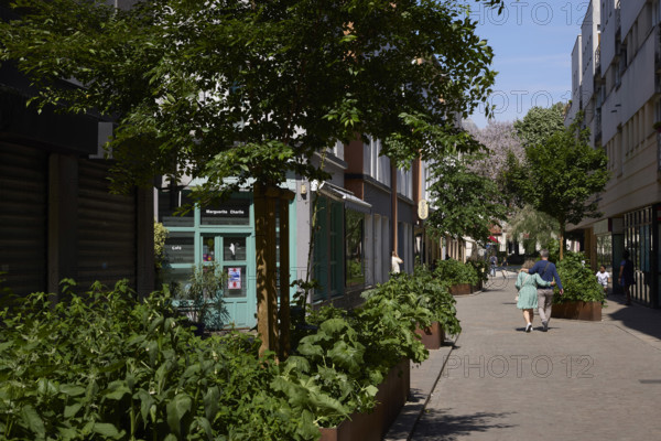 Végétalisation à Saint-Denis