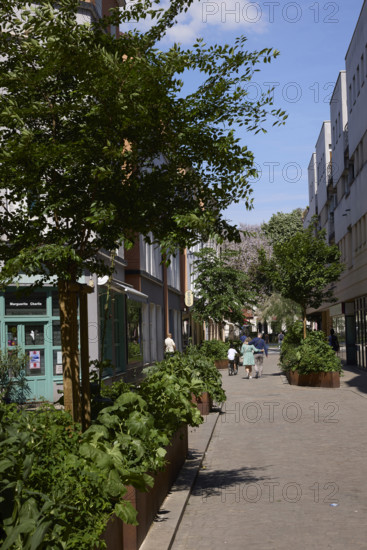 Végétalisation à Saint-Denis