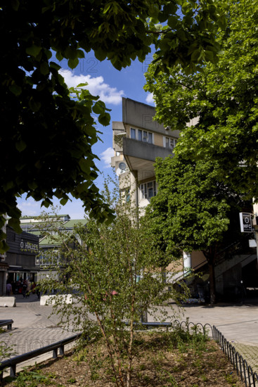 Végétalisation à Saint-Denis