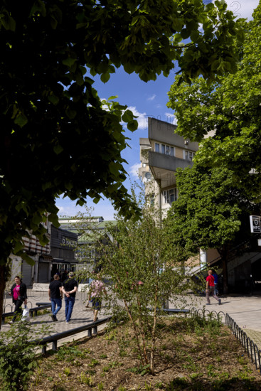 Végétalisation à Saint-Denis