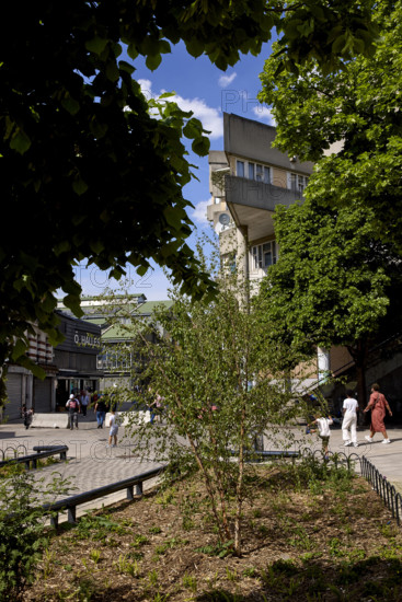 Végétalisation à Saint-Denis