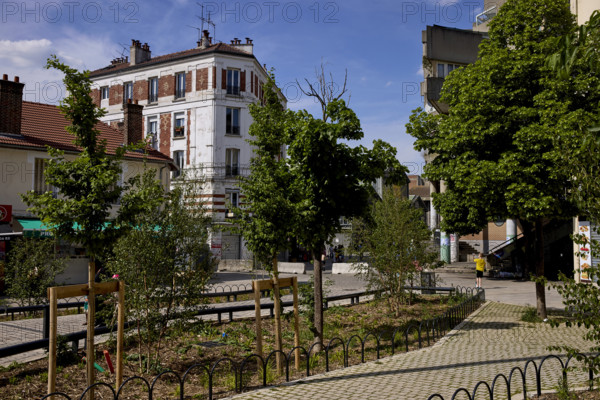 Végétalisation à Saint-Denis
