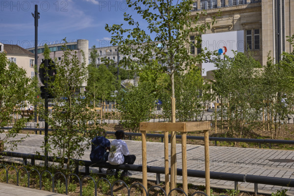 Végétalisation à Saint-Denis