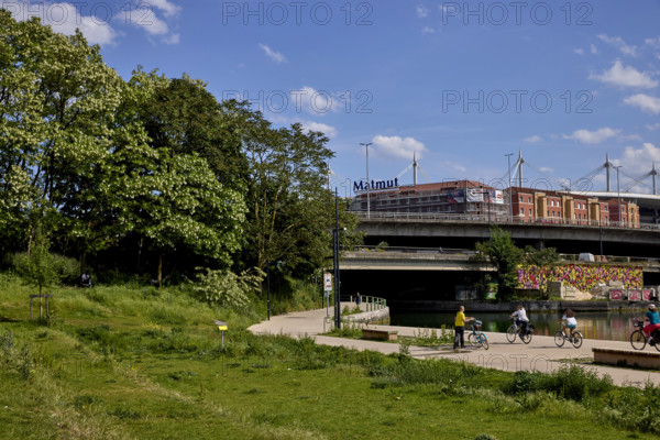 Végétalisation à Saint-Denis