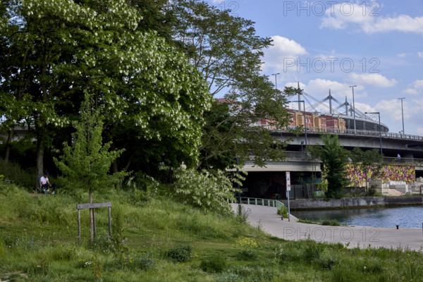 Végétalisation à Saint-Denis