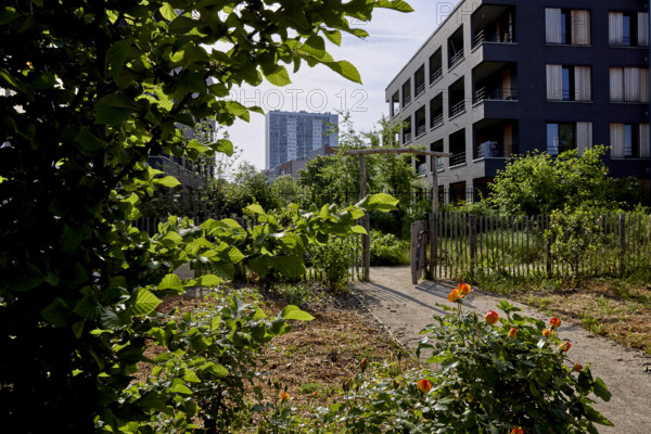 Végétalisation à Saint-Denis