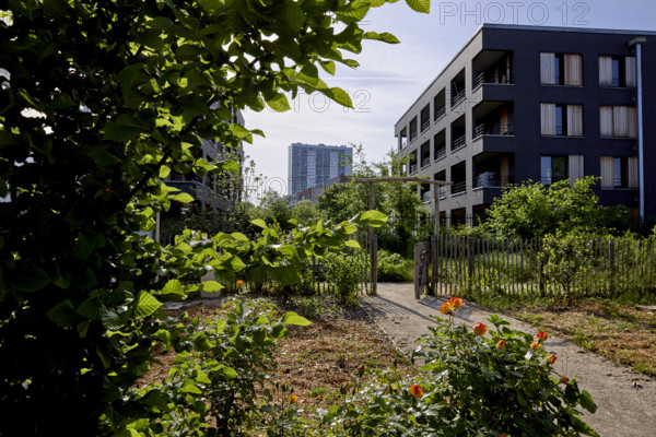 Végétalisation à Saint-Denis