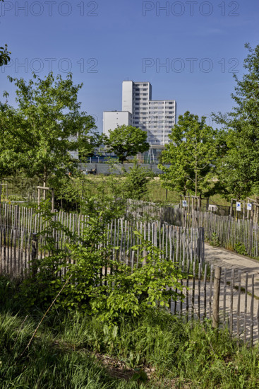Végétalisation à Saint-Denis