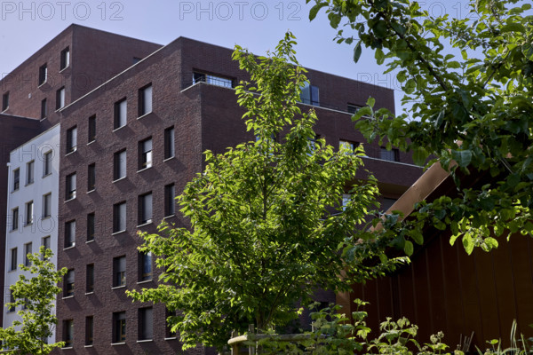 Végétalisation à Saint-Denis