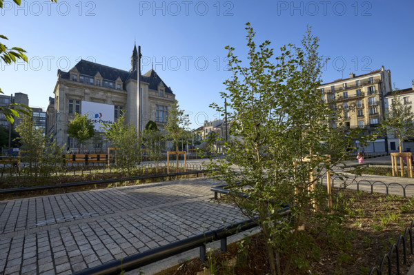 Végétalisation à Saint-Denis