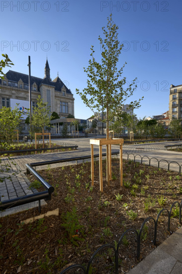 Végétalisation à Saint-Denis
