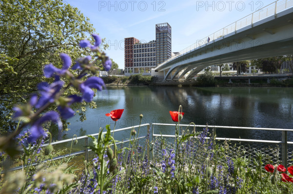 Végétalisation à Saint-Denis