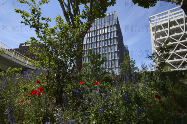 Végétalisation à Saint-Denis