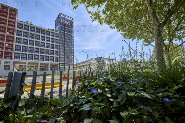 Végétalisation à Saint-Denis