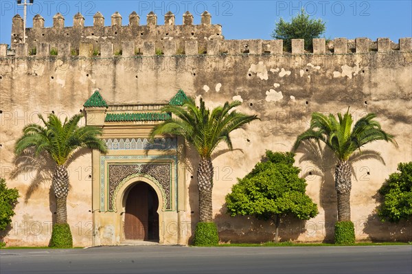 Typical gate with ornaments