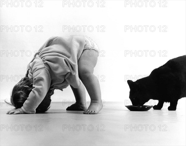 Baby watching cat through the legs