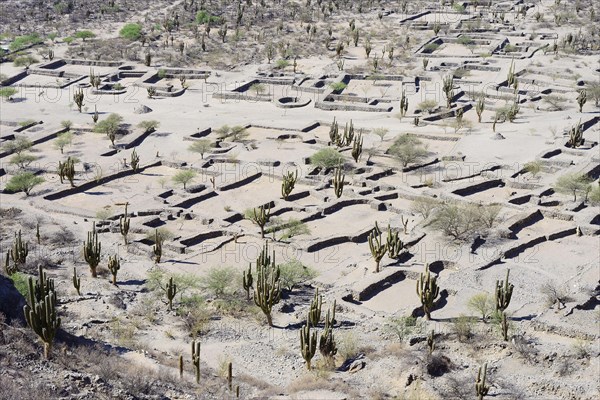 Ruins of Quilmes