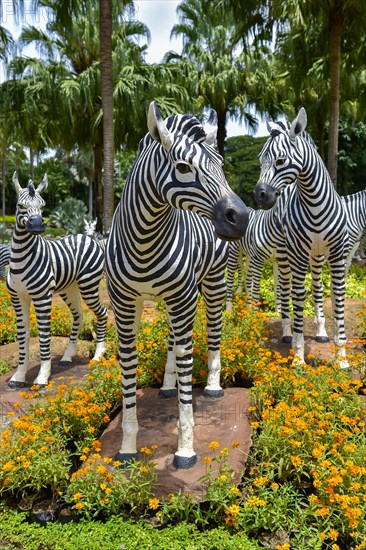 Zebra figures